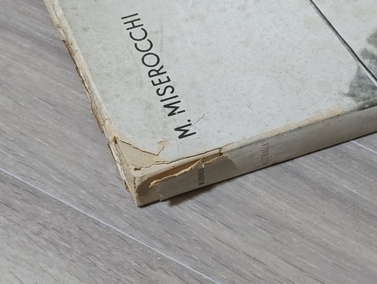 L'Australia. Continente Minorenne