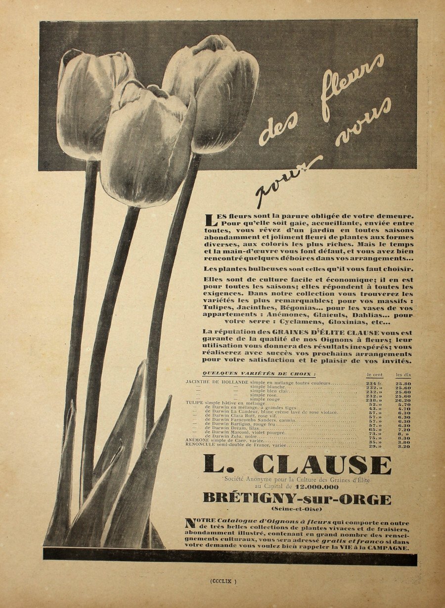 L. Clause. Societe Anonyme our la Culture des Graines d'Elite. … | Immagine principale