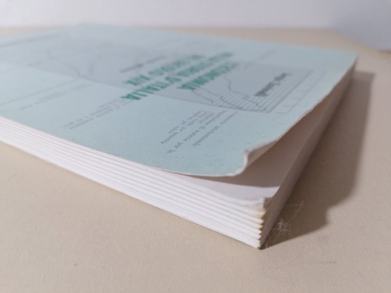 L'Economia nella Storia d'Italia del secolo XIX Libro Zaninelli 8834892658 …