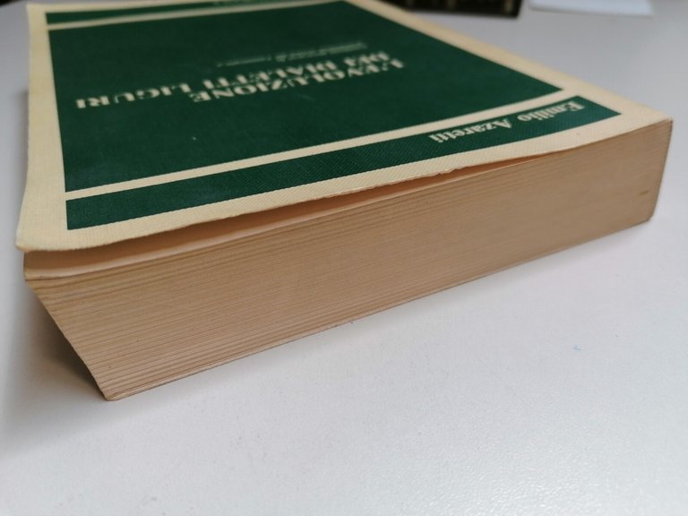 L'Evoluzione Dei Dialetti Liguri Libro Grammatica Storica Ventimigliese Azaretti