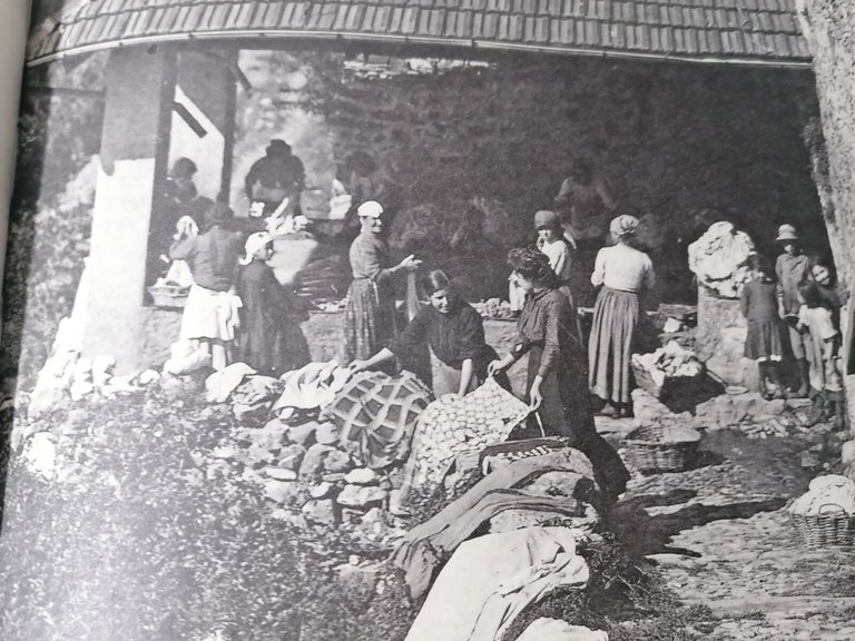 L'Identità Perduta I Musei Contadini Provincia Imperia Libro Cassini Allemandi | Immagine Gallery 8