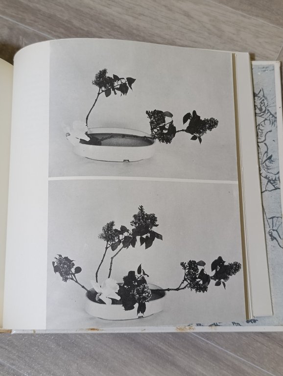 L'Ikebana. Filosofia, religione e teoria dei fiori. 2 Volumi