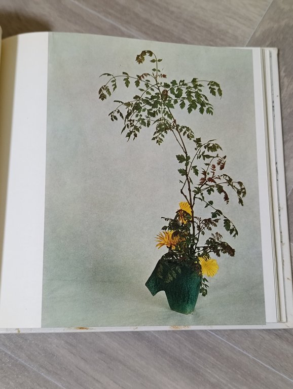 L'Ikebana. Filosofia, religione e teoria dei fiori. 2 Volumi
