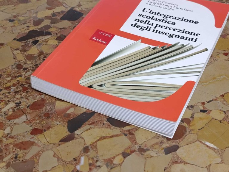 L'integrazione scolastica nella percezione degli insegnanti | Immagine Gallery 5