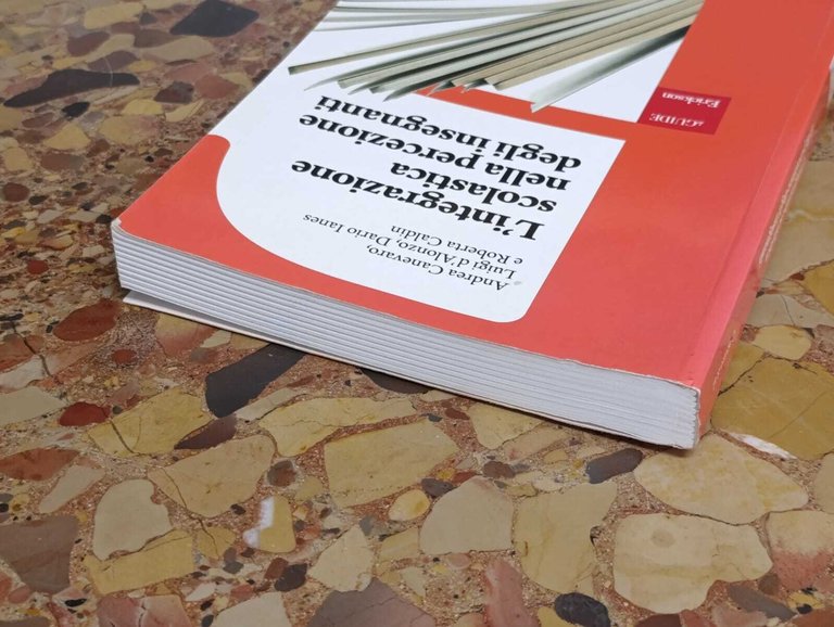 L'integrazione scolastica nella percezione degli insegnanti | Immagine Gallery 6