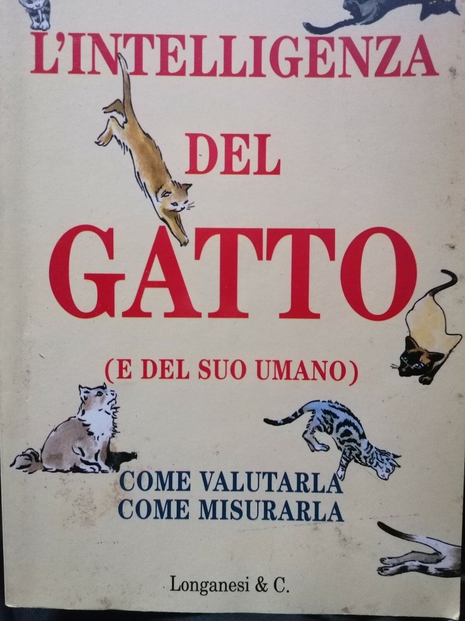 L'Intelligenza Del Gatto e Del Suo Umano Libro Melissa Miller …