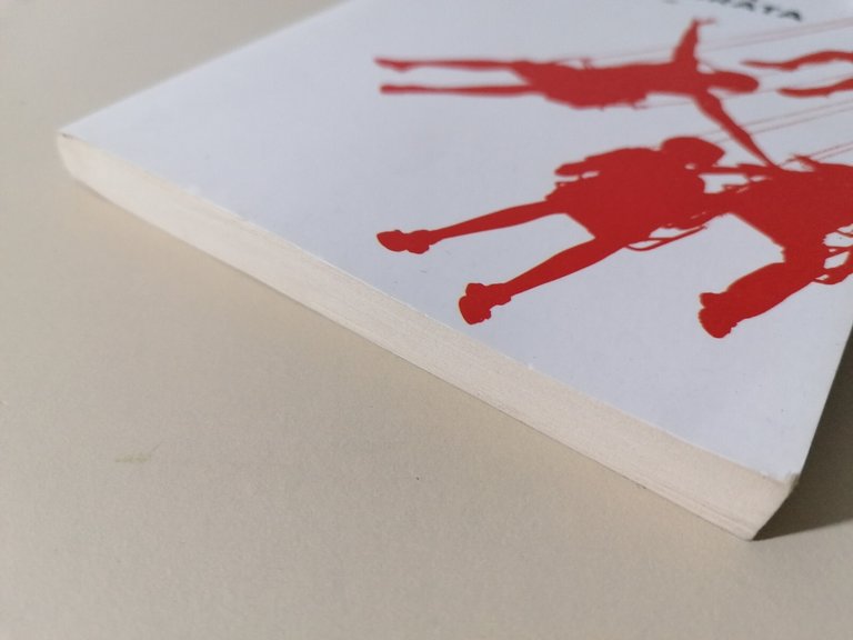 L'Italia Spensierata Libro Piccolo Einaudi Super ET Saggio Sull'Italiano Medio