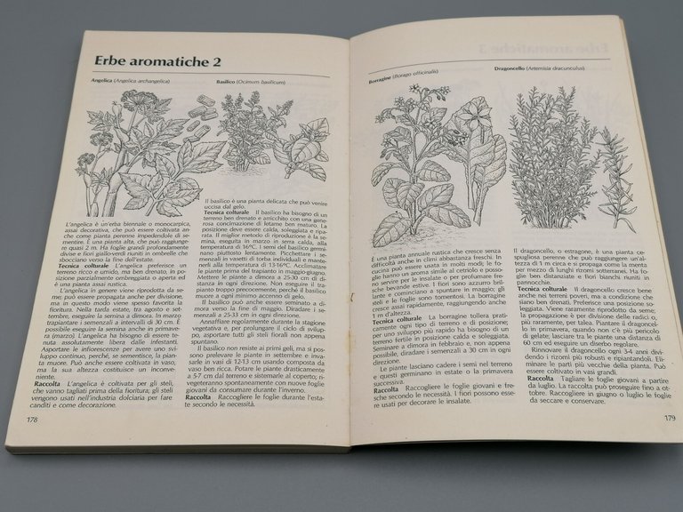 L'Orto Serie Di Giardinaggio Libro Tony Biggs Zanichelli Orticoltura 1987