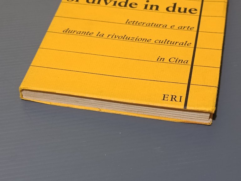 L'uno si divide in due. Letteratura e arte durante la …