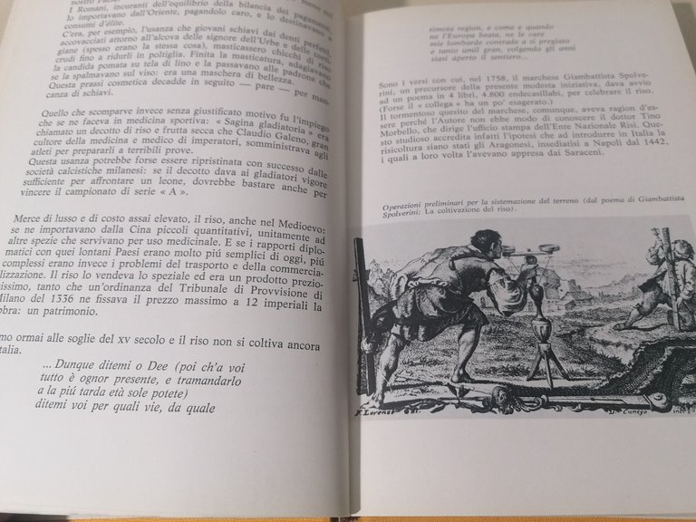 La Ballata Del Risotto Libro Bassi Musi Mursia Prima Edizione …