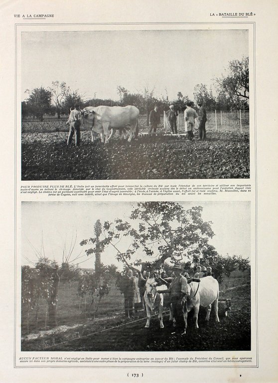 La Bataille du ble en Italie. Fronte/retro. Immagine 1927 | Immagine Gallery 2