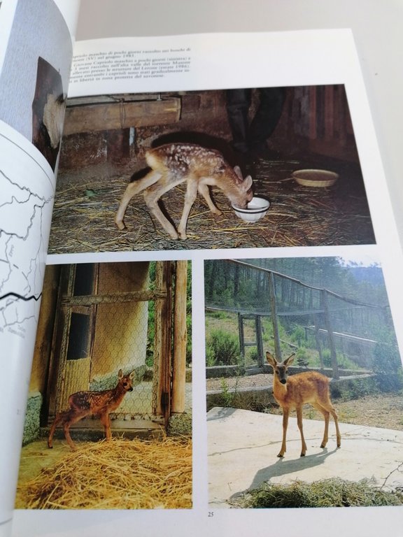 La Caccia In Liguria Libro Silvio Spanò 2^ Edizione Cinghiale …