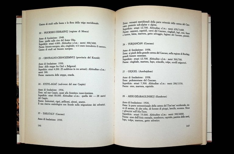 La Caccia in Russia | Immagine Gallery 4