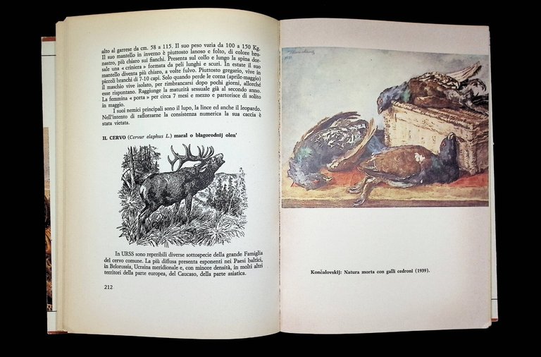 La Caccia in Russia | Immagine Gallery 7