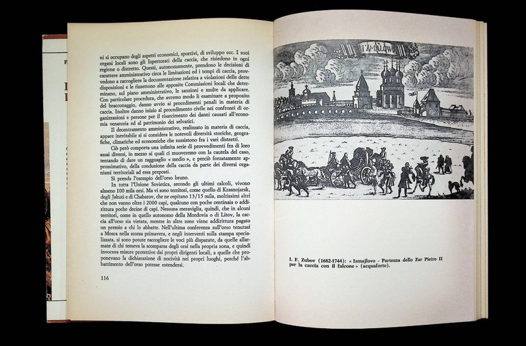 La Caccia in Russia | Immagine Gallery 8