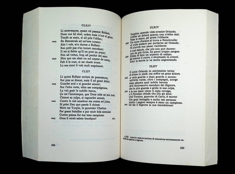 La canzone di Orlando | Immagine Gallery 10