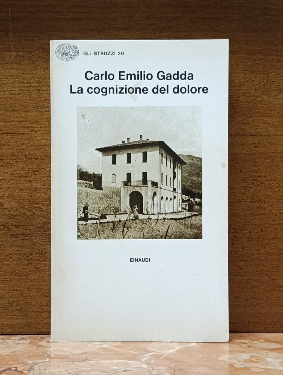 La cognizione del dolore | Immagine principale