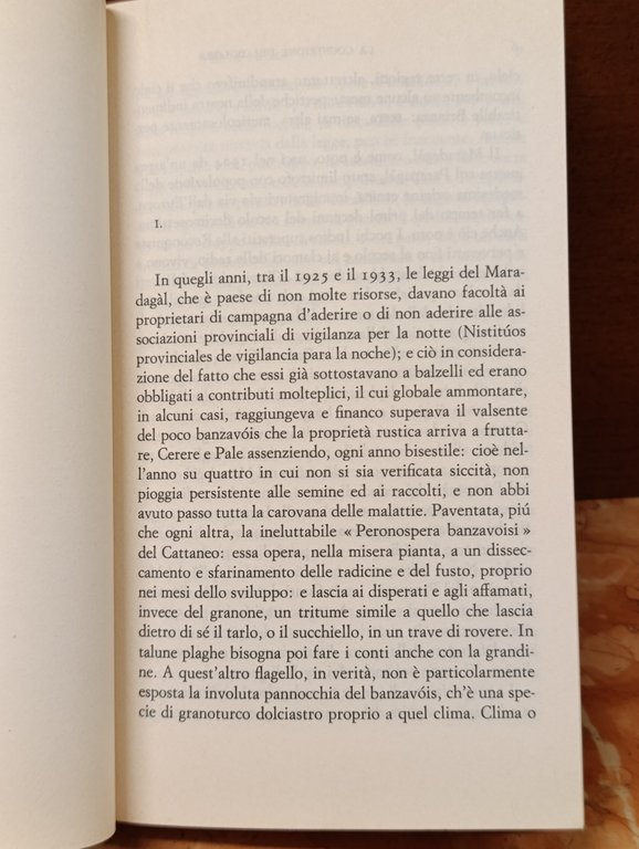 La cognizione del dolore | Immagine Gallery 8