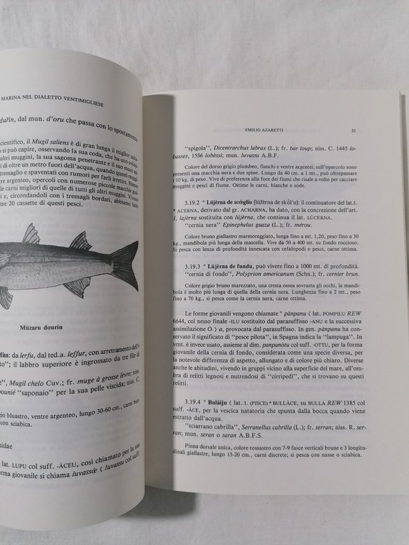 La Fauna Marina nel Dialetto Ventimigliese Libro Alzaretti 1992 Ventimiglia