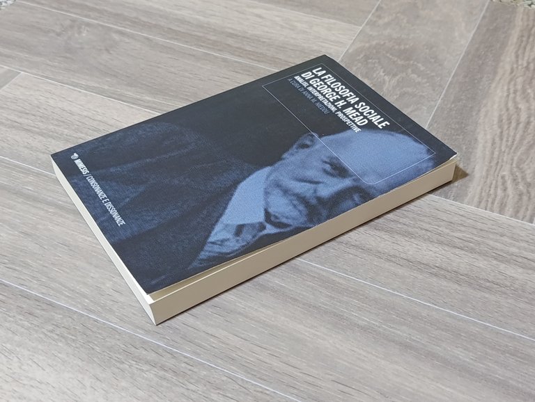 La filosofia sociale di George H. Mead. Analisi, interpretazioni, prospettive
