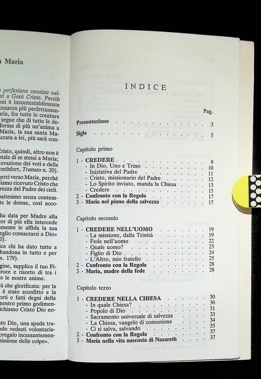 La Fraternità Icone Missionaria