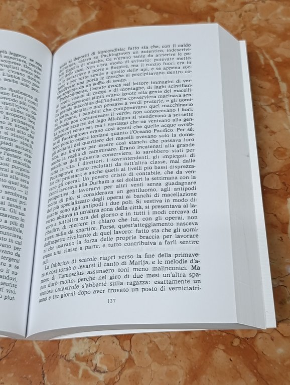 La giungla | Immagine Gallery 7