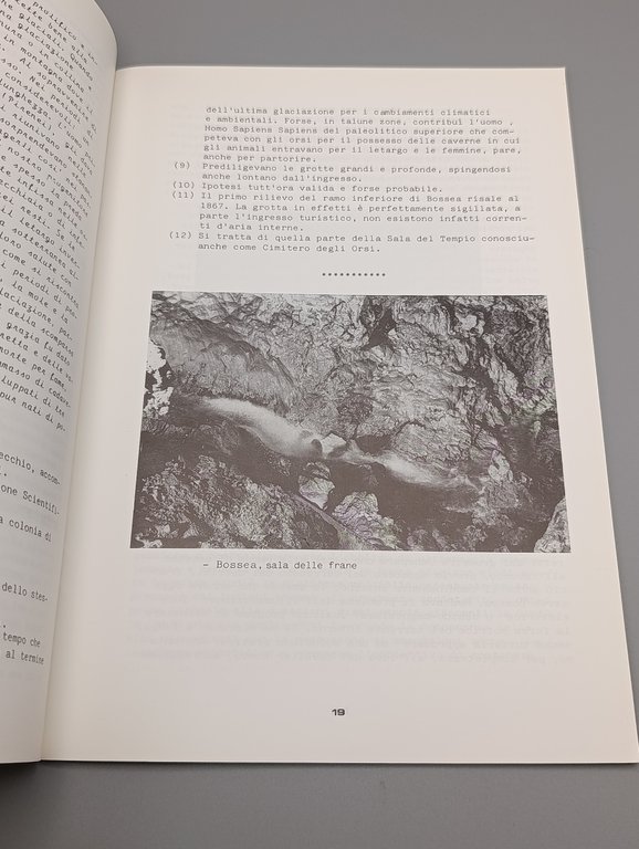 La Grotta di Bossea...Tona 'dle Funtone. Dalla Scoperta ai Giorni …