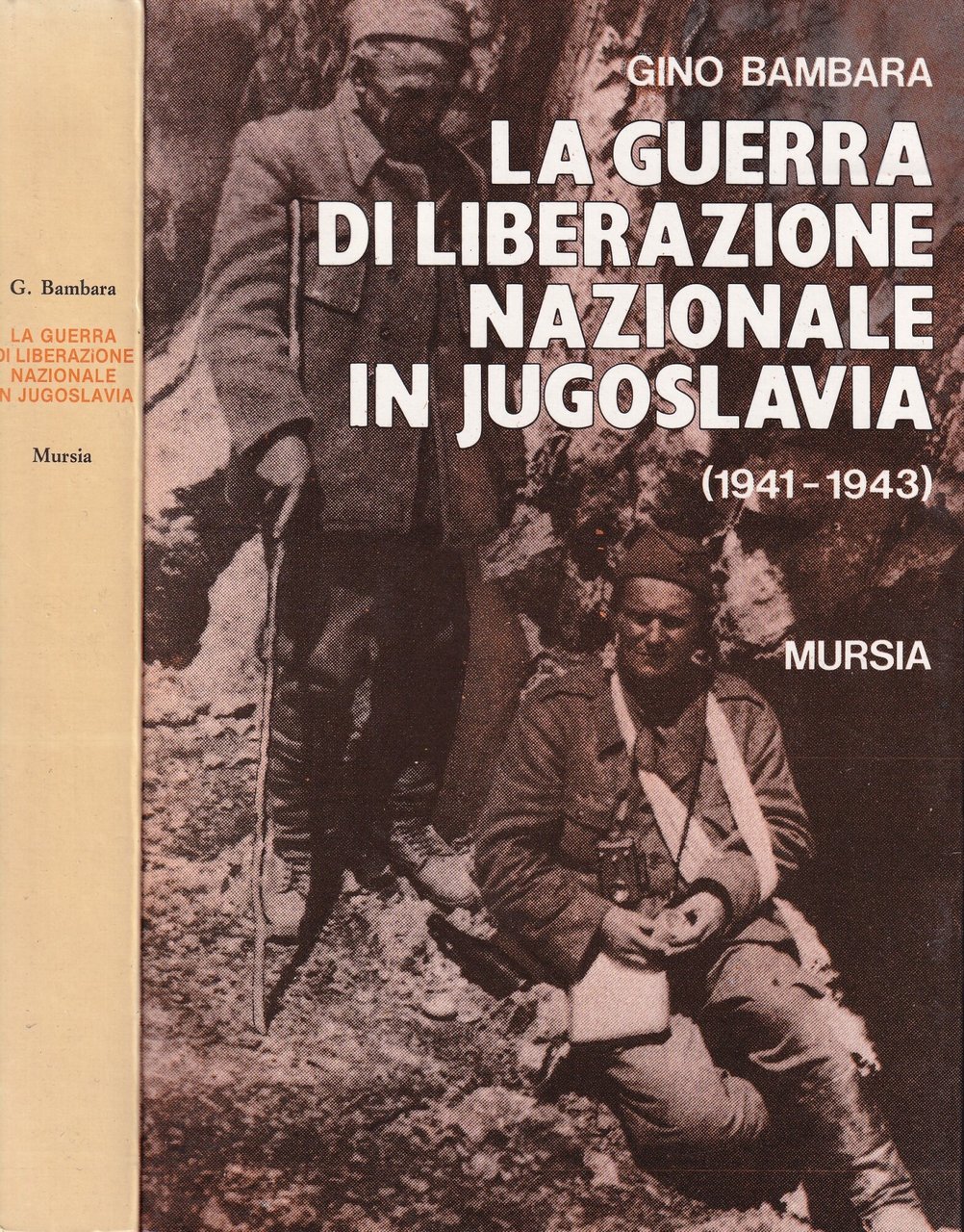 La guerra di liberazione nazionale in Jugoslavia (1941-1943)