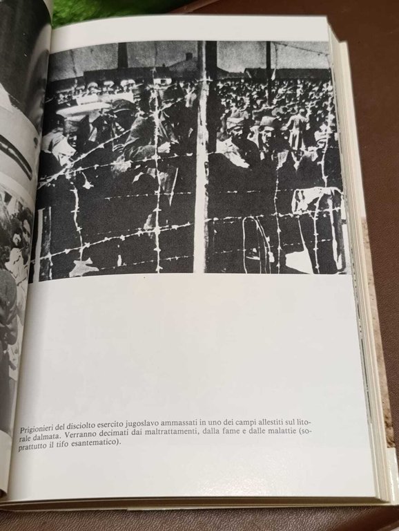 La guerra di liberazione nazionale in Jugoslavia (1941-1943)