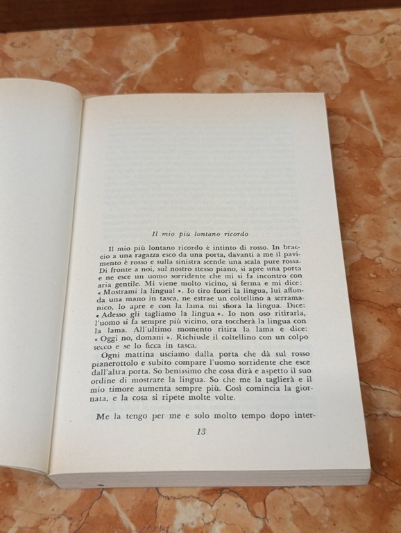 La lingua salvata. Storia di una giovinezza | Immagine Gallery 10