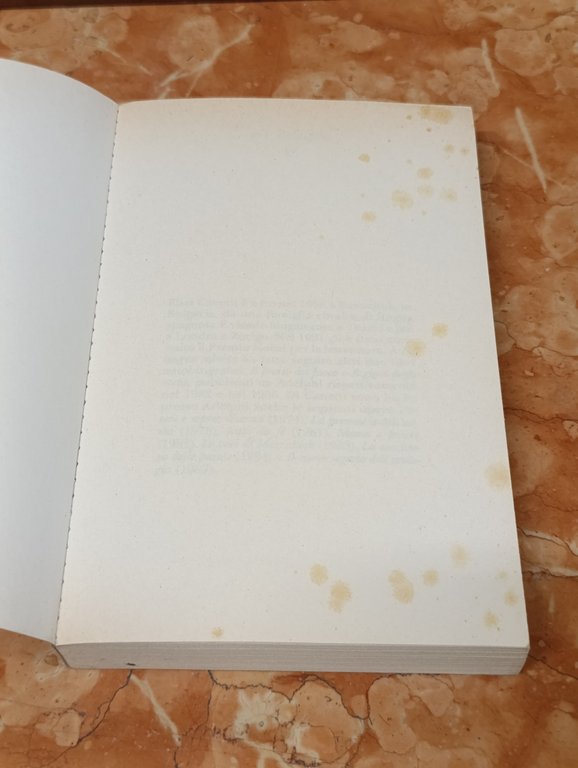 La lingua salvata. Storia di una giovinezza | Immagine Gallery 7