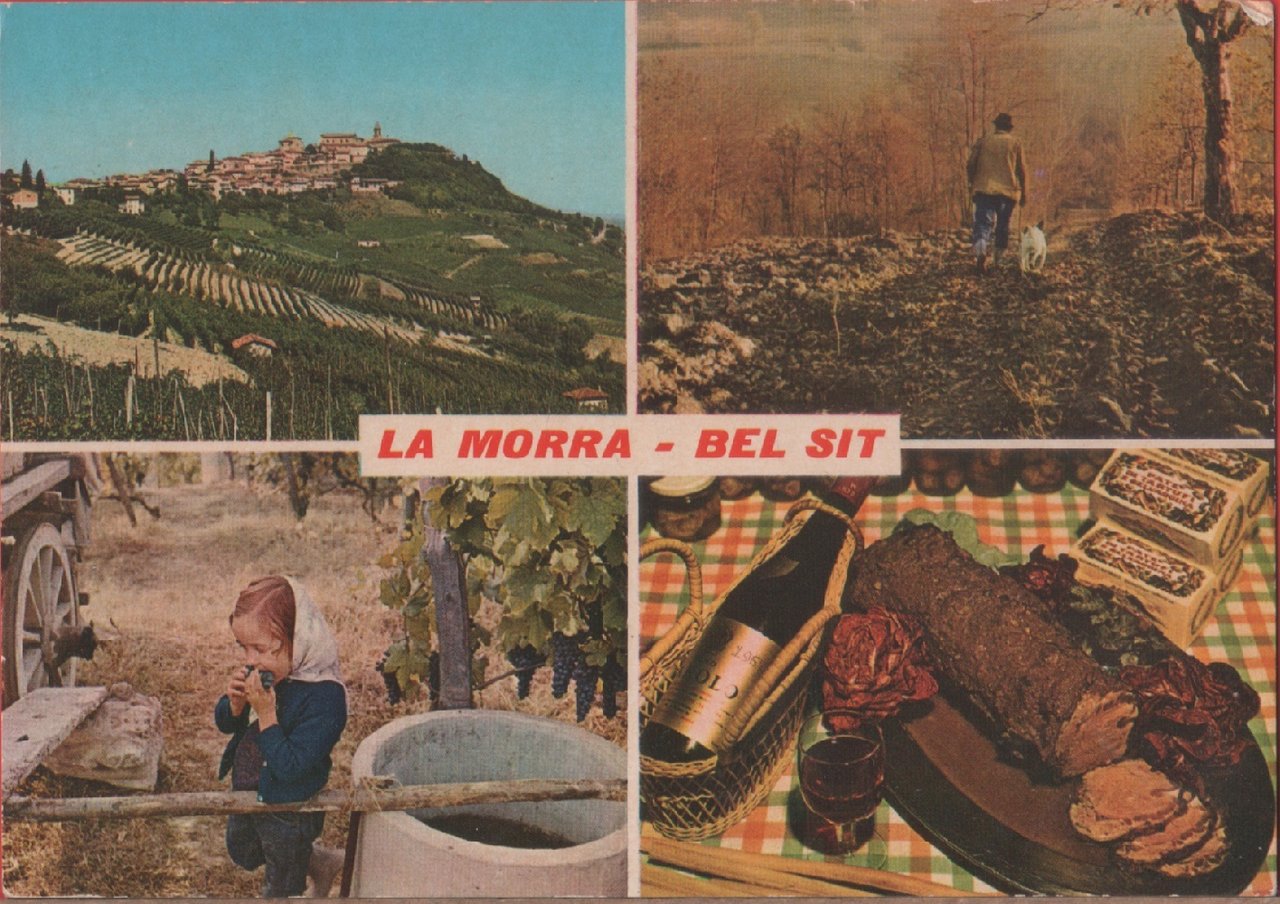 La Morra (CN). Bel Sit. Non viaggiata | Immagine principale