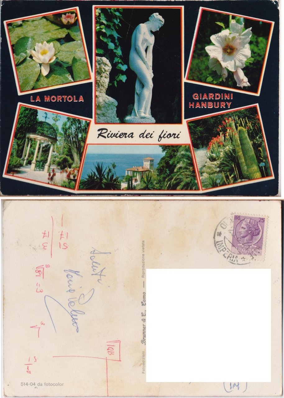 La Mortola (IM). Giardini Hanbury. Viaggiata 1971 | Immagine principale