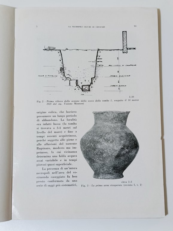 La Necropoli Ligure di Chiavari. Studio Preliminare. Estratto Rivista di … | Immagine Gallery 3