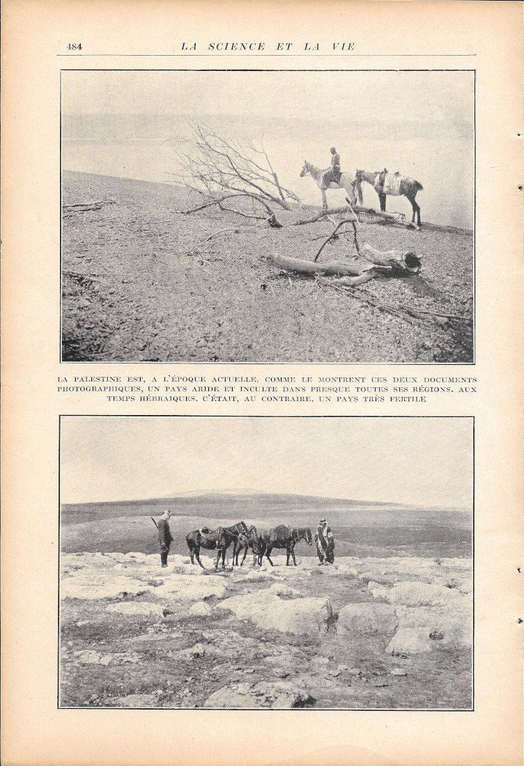 La Palestine est, a l'epoque actuelle, est un pays aride.... … | Immagine principale