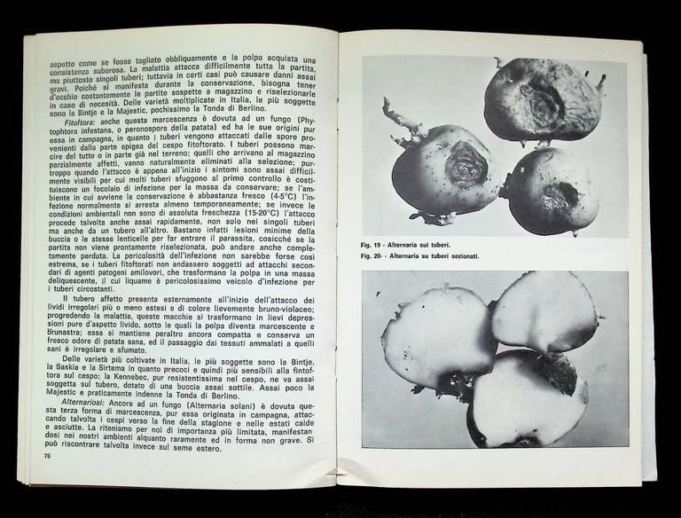 La Patata da Seme Campagna Magazzino Laboratorio Libro Giovanni Biadene