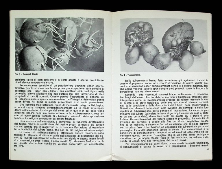 La Patata da Seme Campagna Magazzino Laboratorio Libro Giovanni Biadene