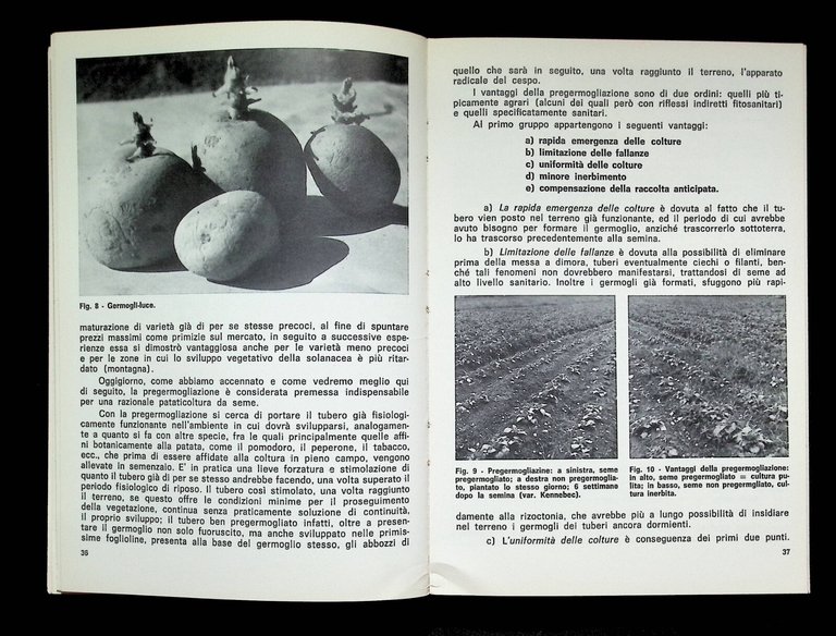 La Patata da Seme Campagna Magazzino Laboratorio Libro Giovanni Biadene