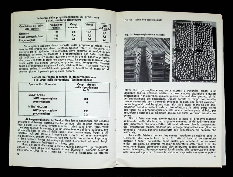La Patata da Seme Campagna Magazzino Laboratorio Libro Giovanni Biadene