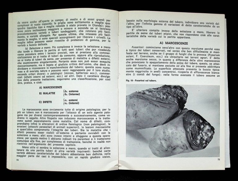 La Patata da Seme Campagna Magazzino Laboratorio Libro Giovanni Biadene