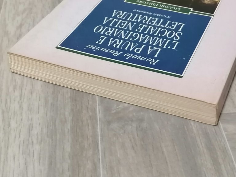 La Paura e l'Immaginario Sociale Nella Letteratura Gothic Romance Libro …