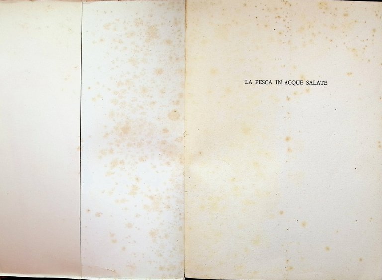 La Pesca in Acque Salate Libro Lorenzo Donato De Vecchi …