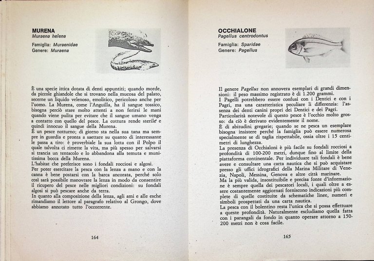 La Pesca in Acque Salate Libro Lorenzo Donato De Vecchi …