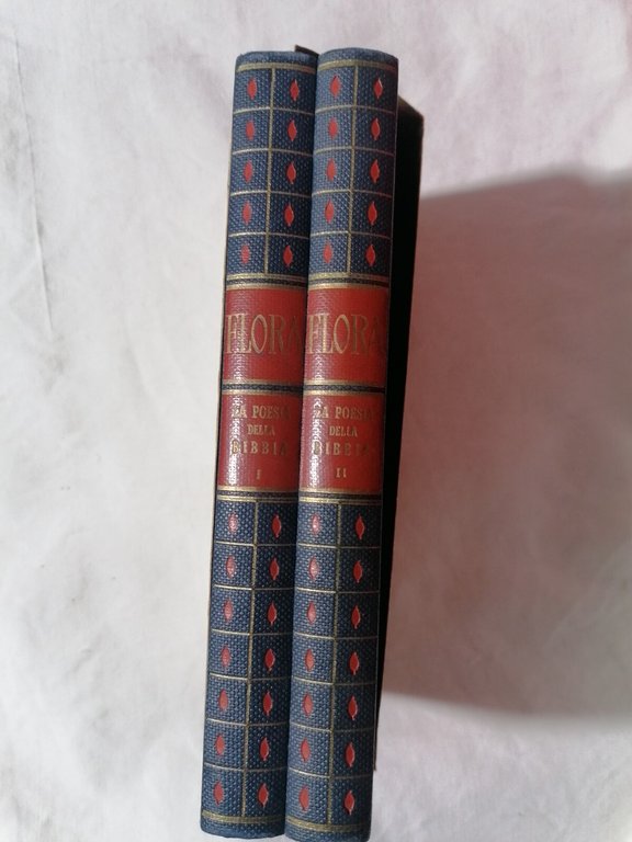 La poesia della Bibbia