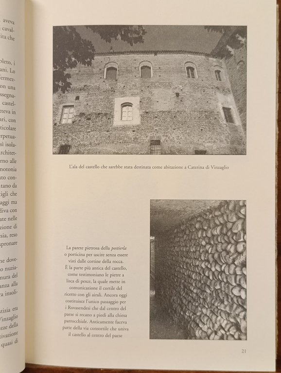 La Quercia del Bayardo e la Selva della Baraggia | Immagine Gallery 10