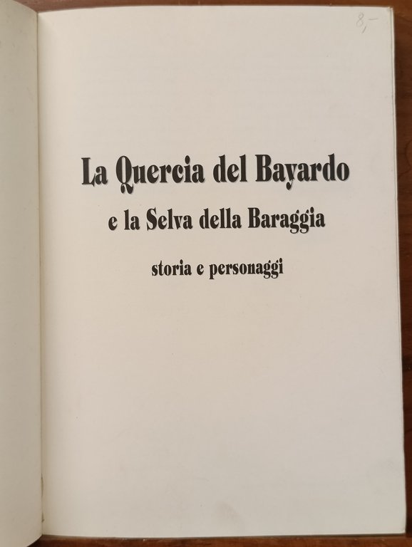 La Quercia del Bayardo e la Selva della Baraggia | Immagine Gallery 5