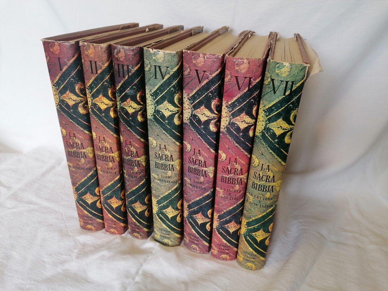 La Sacra Bibbia Fabbri Editori Libro 7 volumi Illustrati Raccolta …