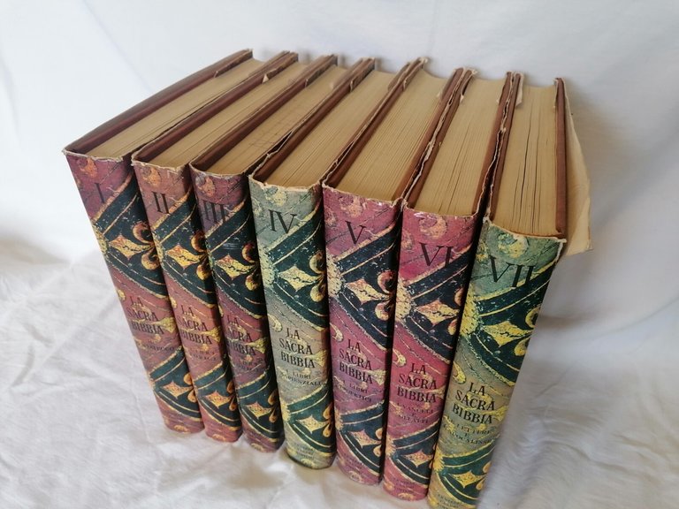 La Sacra Bibbia Fabbri Editori Libro 7 volumi Illustrati Raccolta …