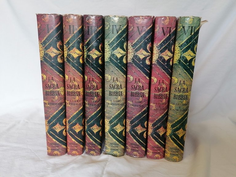 La Sacra Bibbia Fabbri Editori Libro 7 volumi Illustrati Raccolta …