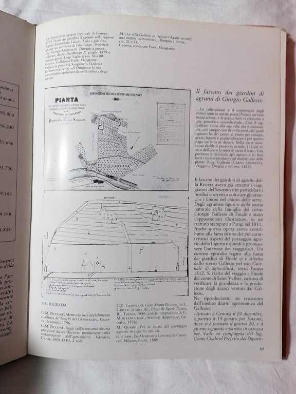 La scoperta della riviera - viaggiatori immagini paesaggio libro Sagep …